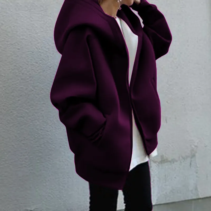 Autumn Winter Women Fashion Loose Fleece-Lined Zipper Long Sleeve Hoodie Jacket - Image 11